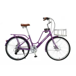 Bicicleta Urbana Green Plus City Bike R26 Disco Morado