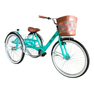 Triciclo de Carga OneBike Sencillo R26 Verde